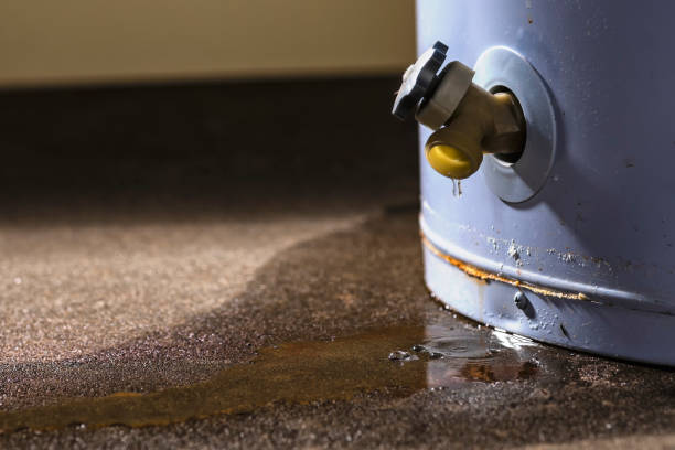Best Water damage restoration process  in New Eagle, PA