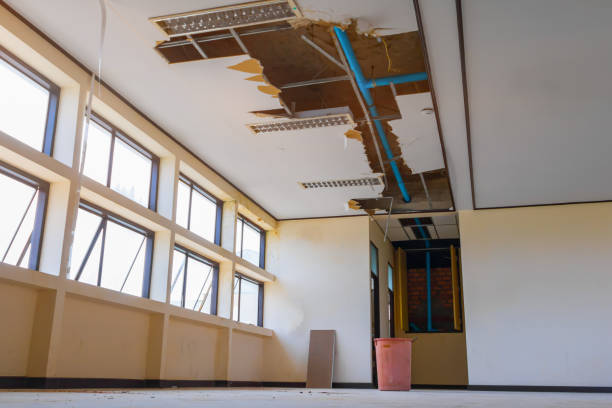 Best 24-hour water damage restoration  in New Eagle, PA