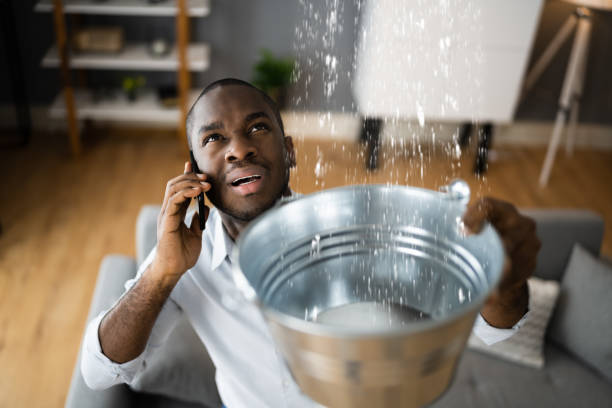 Best Water damage mitigation services  in New Eagle, PA