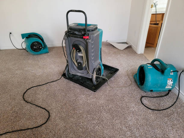 Best Sewage cleanup and water damage restoration  in New Eagle, PA