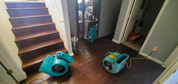 Best Water damage restoration near me  in New Eagle, PA