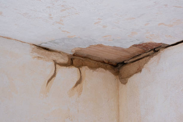 Best Water damage restoration specialists  in New Eagle, PA