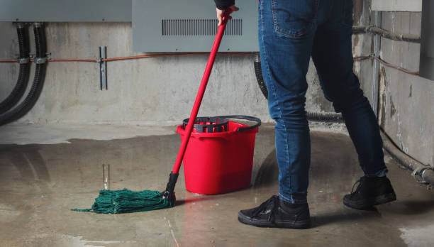 Best Flood restoration services  in New Eagle, PA