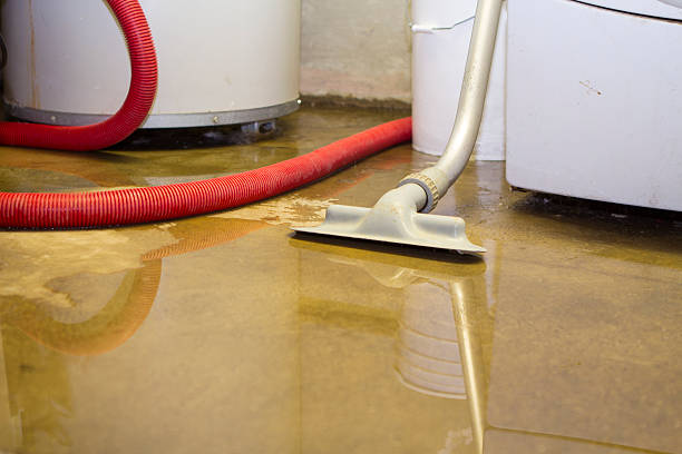 Best Water damage restoration near me  in New Eagle, PA