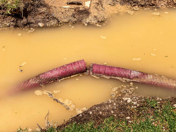 Best Flood restoration services  in New Eagle, PA